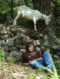 vento4 A man and his goat in Il vento fa il suo giro